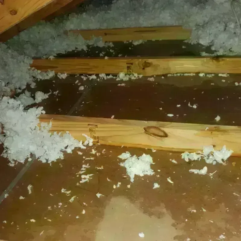 Attic Water Damage in Hillside, NY